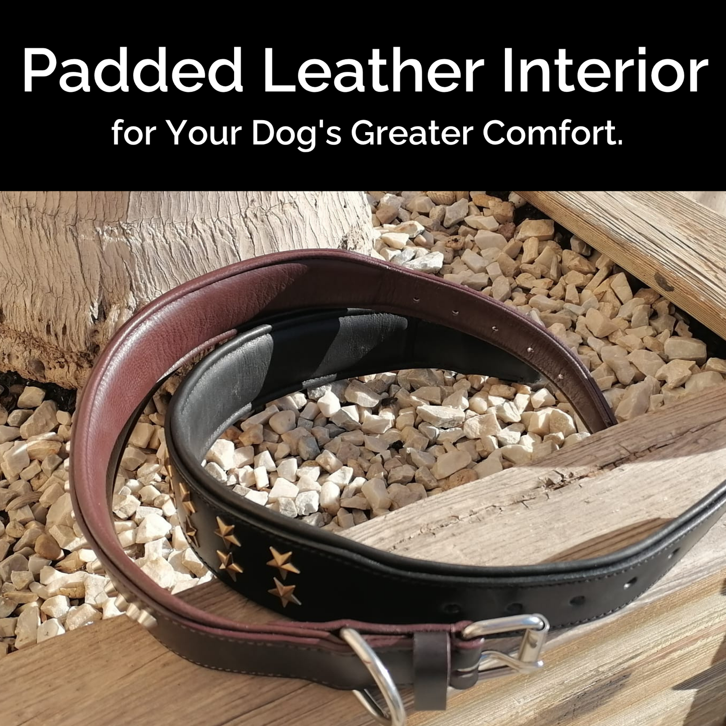 Collar de Cuero Genuino para Perros – Estilo Punk con Tachuelas – Talla XL 5cm Ancho | IULIUS
