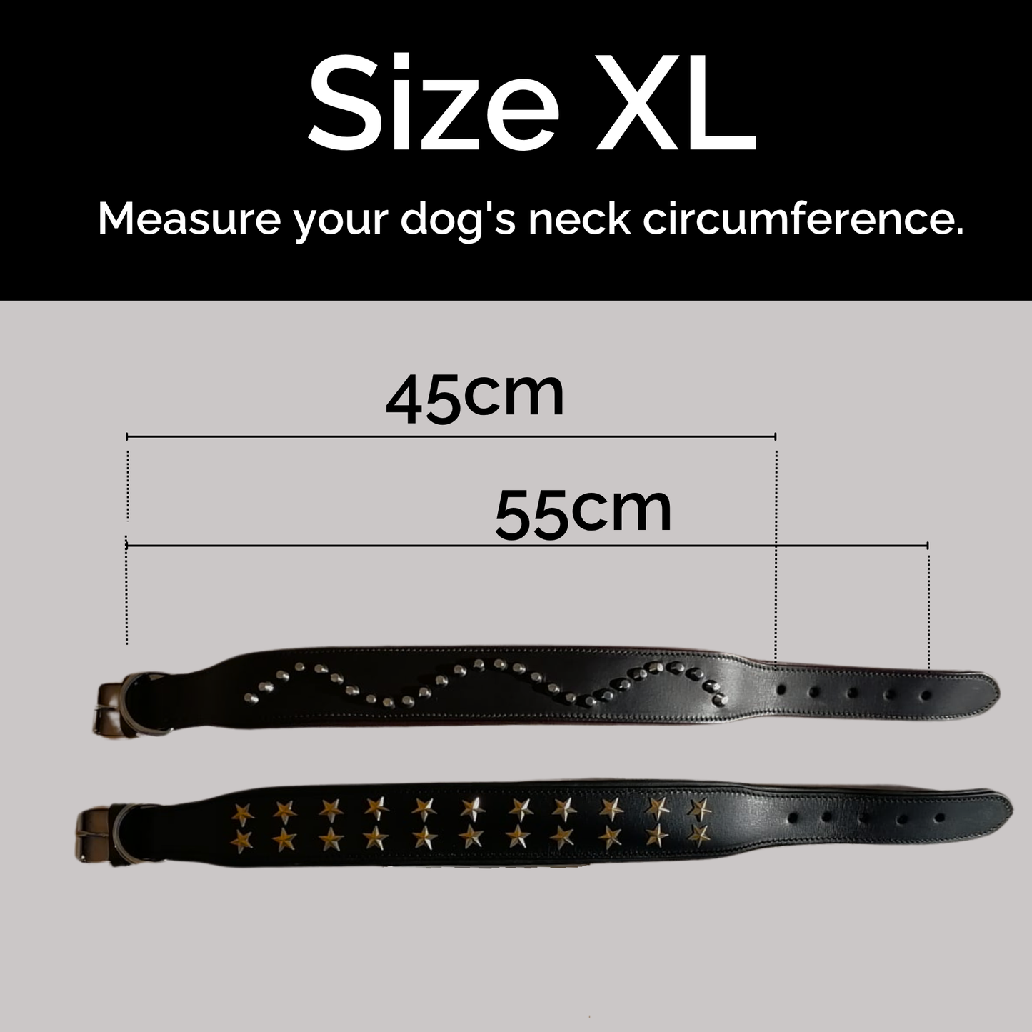 Collar de Cuero Genuino para Perros – Estilo Punk con Tachuelas – Talla XL 5cm Ancho | IULIUS