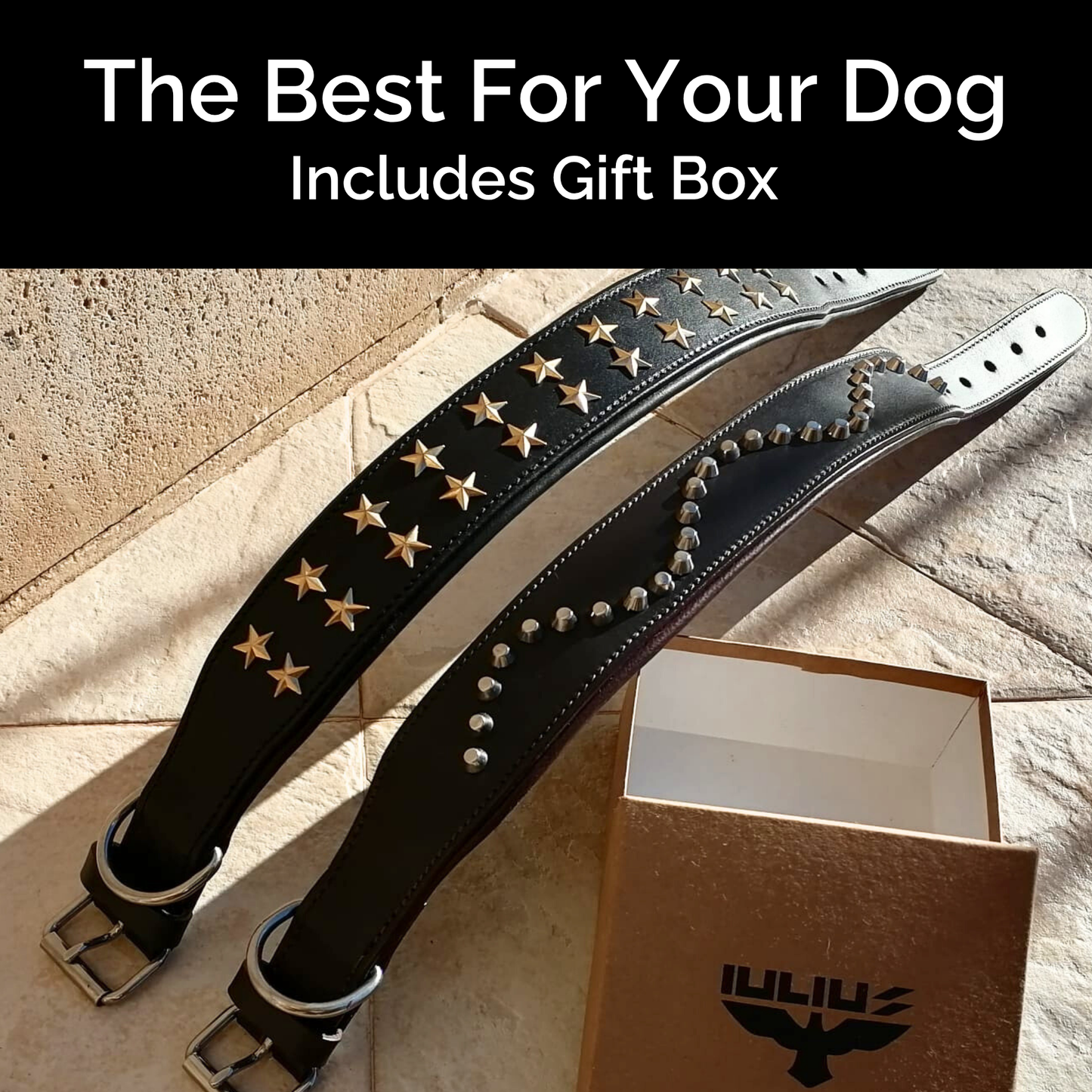 Collar de Cuero Genuino para Perros – Estilo Punk con Tachuelas – Talla XL 5cm Ancho | IULIUS