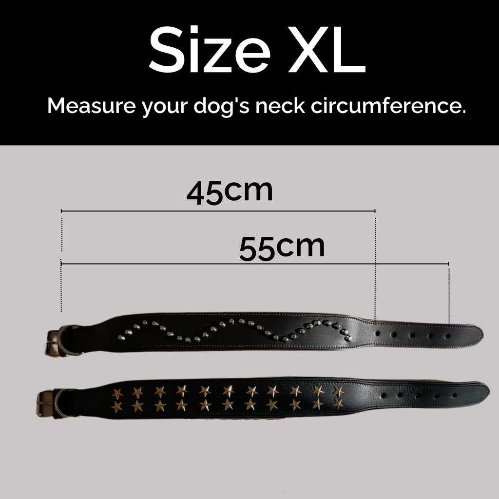 Collar de Cuero Genuino para Perros – Estilo Punk con Tachuelas – Talla XL 5cm Ancho | IULIUS